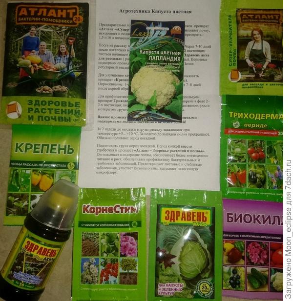 Капуста цветная Лапландия и препараты