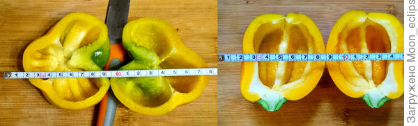 перец Европеец