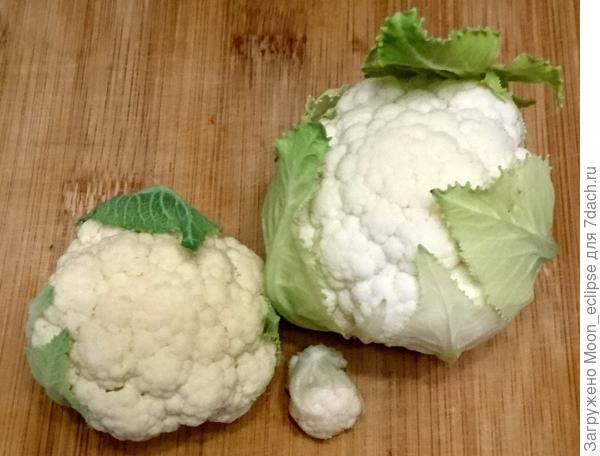 капуста цветная Лапландия