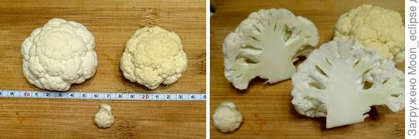 цветная капуста Лапландия