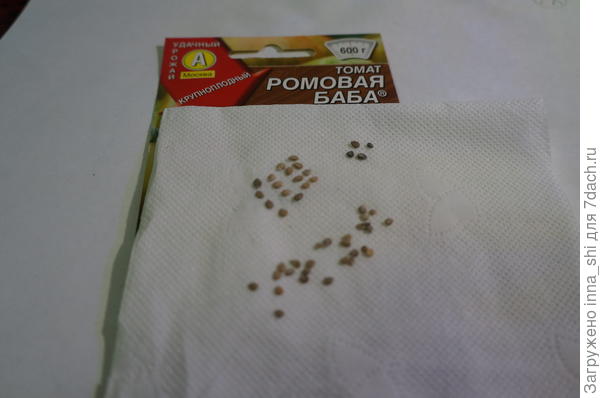 Семена разные по качеству и цвету