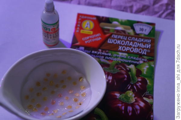 Без НВ-101 я никуда...