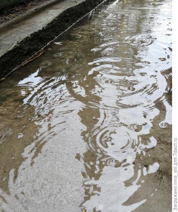 Весенняя вода