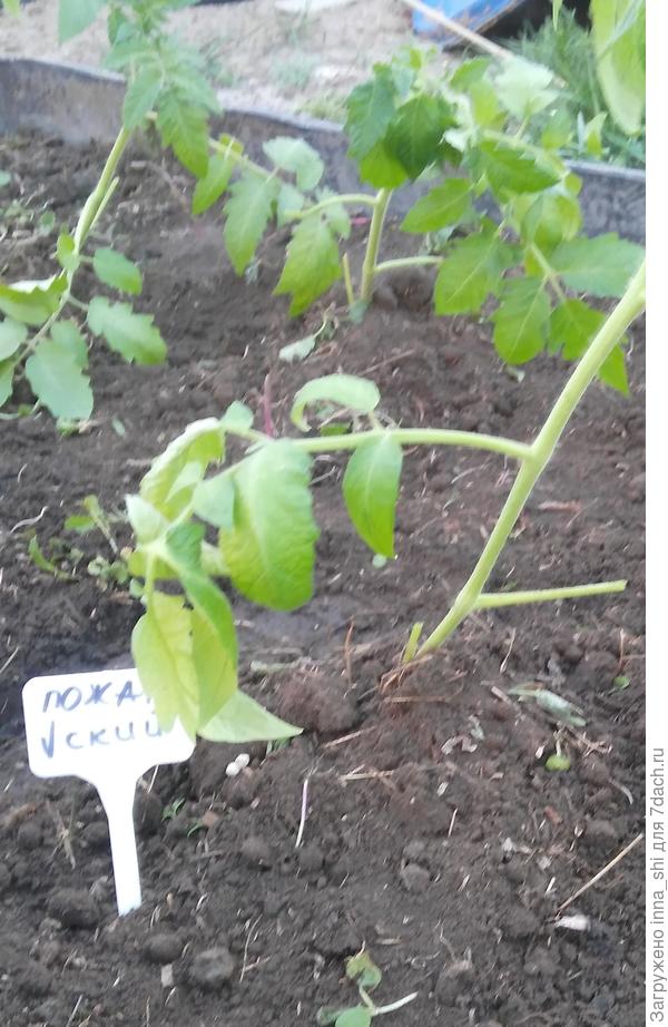 После посадки