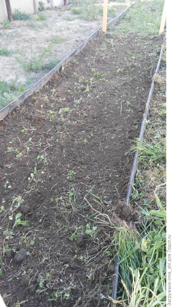 Грядка готова