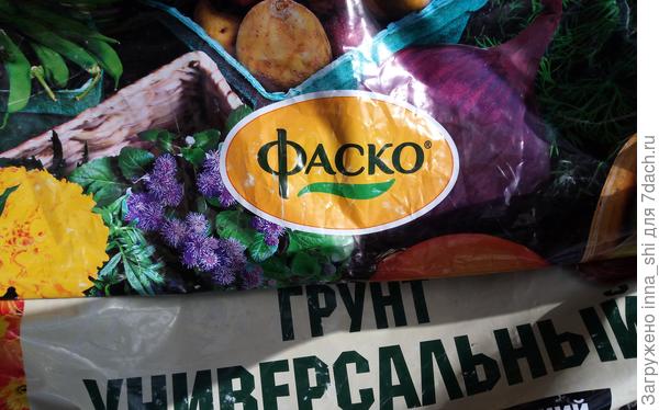 Для посадки использовался грунт Фаско