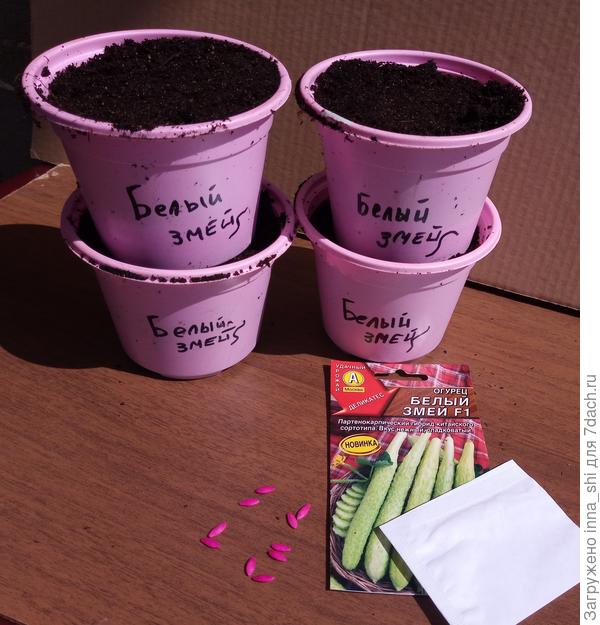 Все очень достойно. Семена ровные и целые