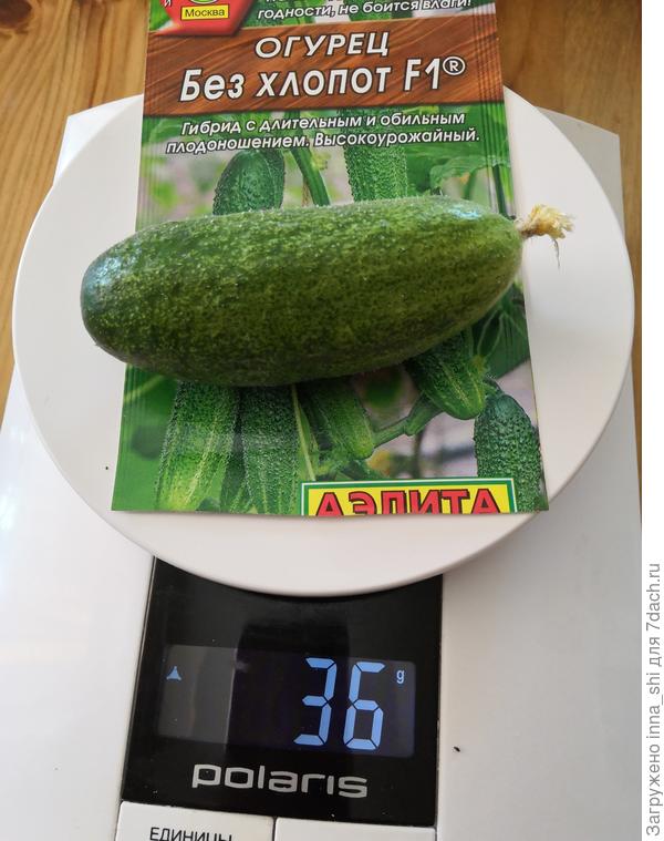 Вес самого первого зеленца