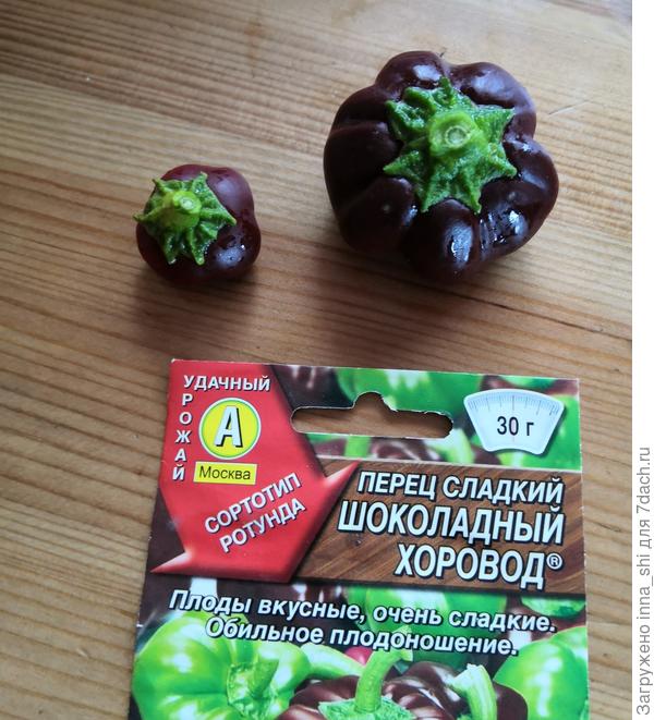 Самый большой и самый маленький плоды