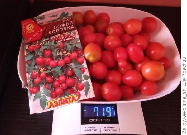 Первая волна массового сбора