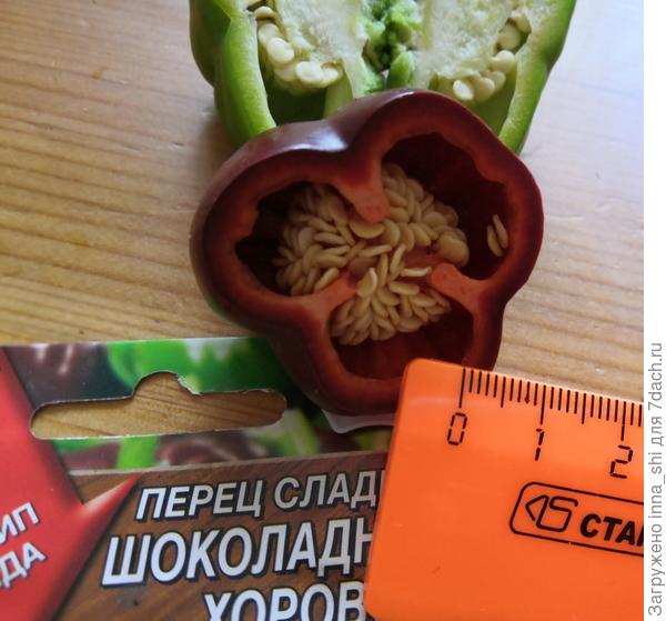 Трехранный, эх, красавец!