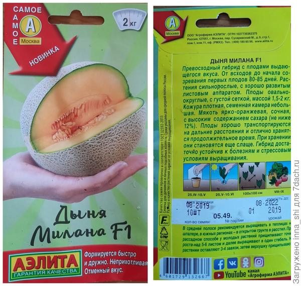 Изучаем информацию