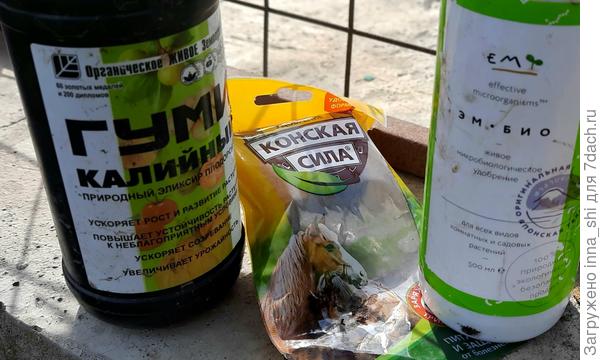Мои любимые помощники - улучшители почвы