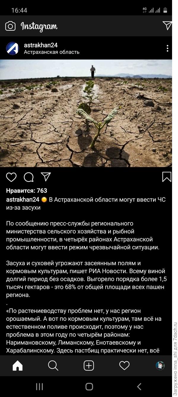 Скриншот местных новостей из Инстаграмм