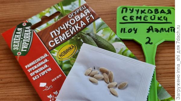 "Пучковая семейка" от Аэлиты. Одна из многих великолепных возможностей для огородников - любителей получить великолепный урожай
