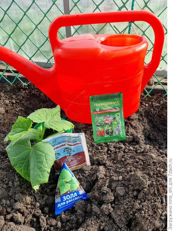 Добавки в лунки