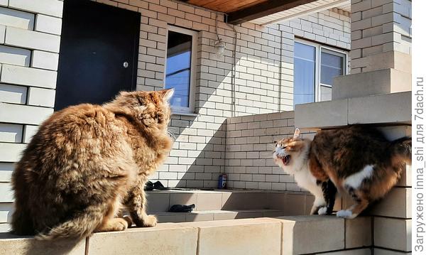 Фото 2020 года. Называется &amp;quot;Уйди, непривитый&amp;quot;