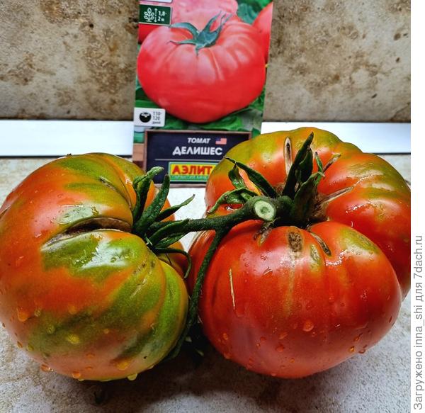 Томат Делишес. Спасибо за вкус!