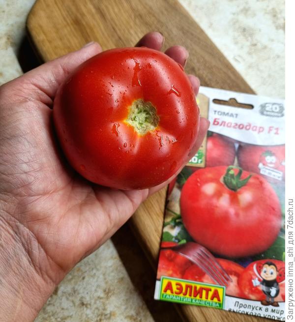 Благодар F1 от агрофирмы Аэлита