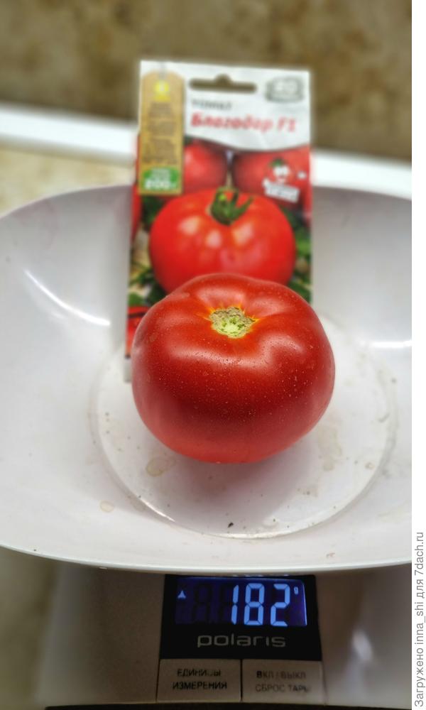 Благодар вес