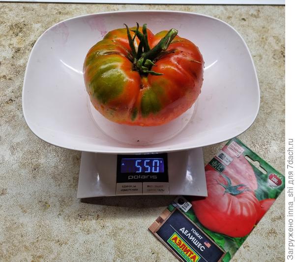 Томат Делишес. Вес плодов