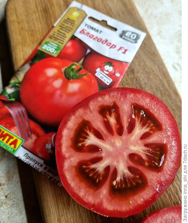 Благодар F1. Разрез плода