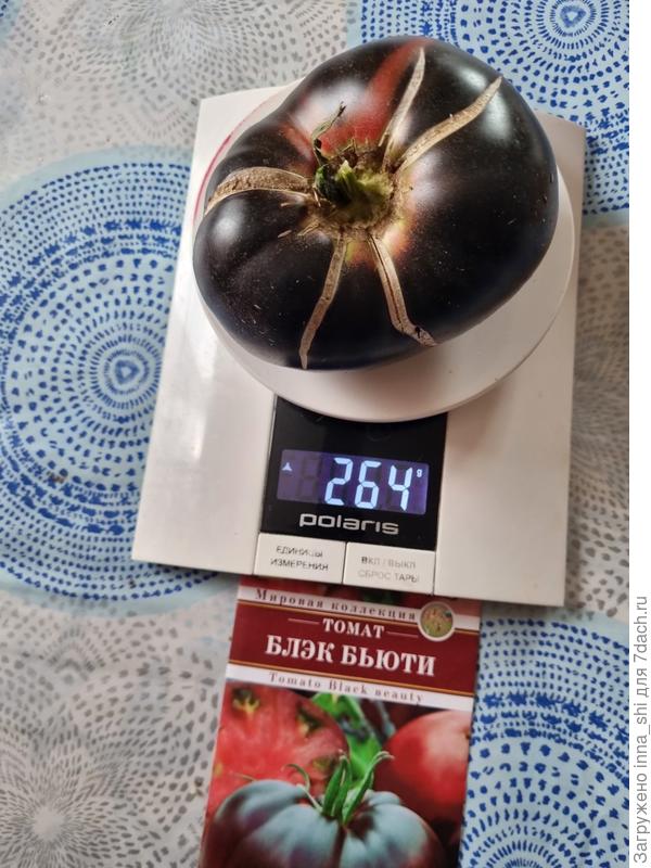 Вес плода томата Блэк Бьюти