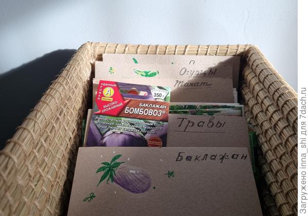 Баклажан - синенький