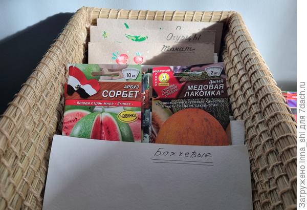 Бахчевые культуры - арбуз, дынька, тыковка