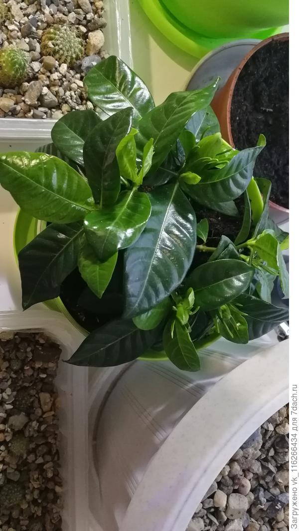 И вот этот =) Спасибо