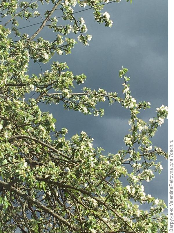 Хмурится небо