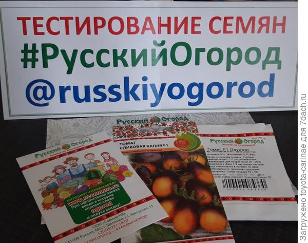 Томатики- все черри!