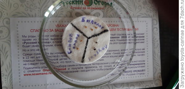 Проращивание