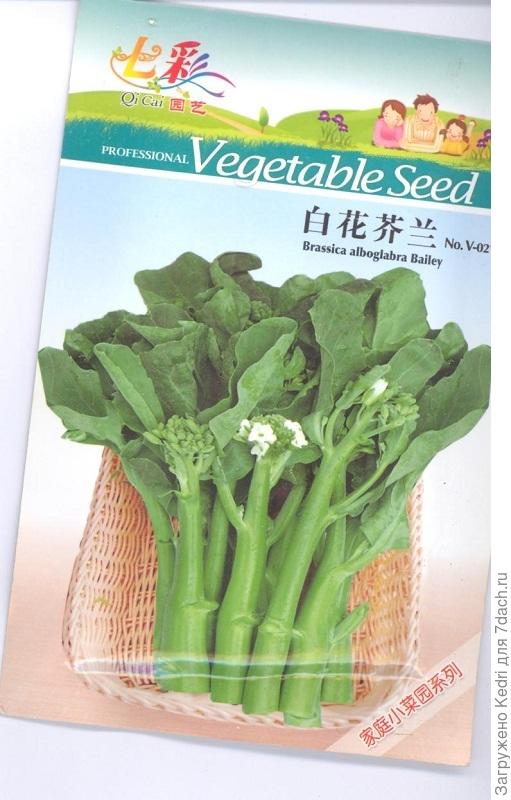 китайские семена салат или чак пой?