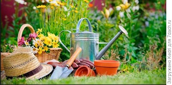 поздравление1