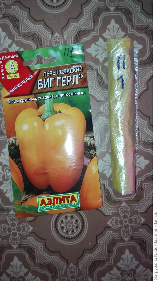 "улитка"