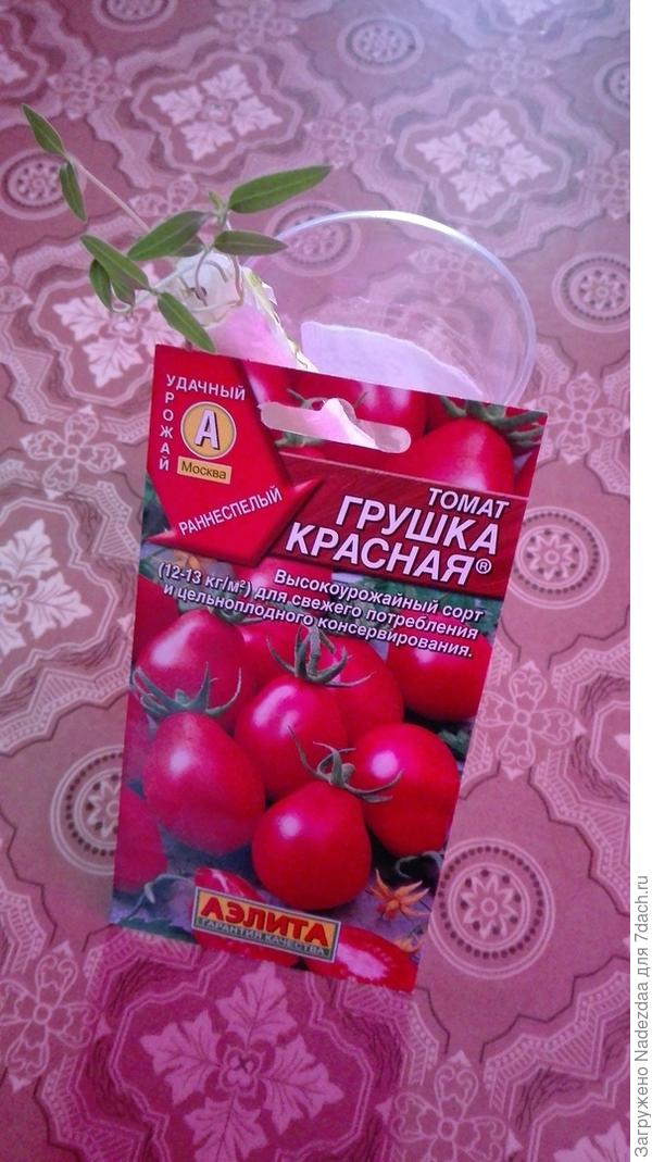 томаты в улитке без земли