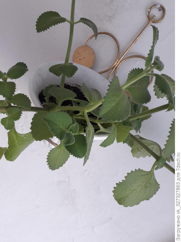 Помогите прошу)