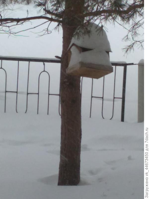 Снег идёт 2 дня вот так кормушка выглядит на данный момент.