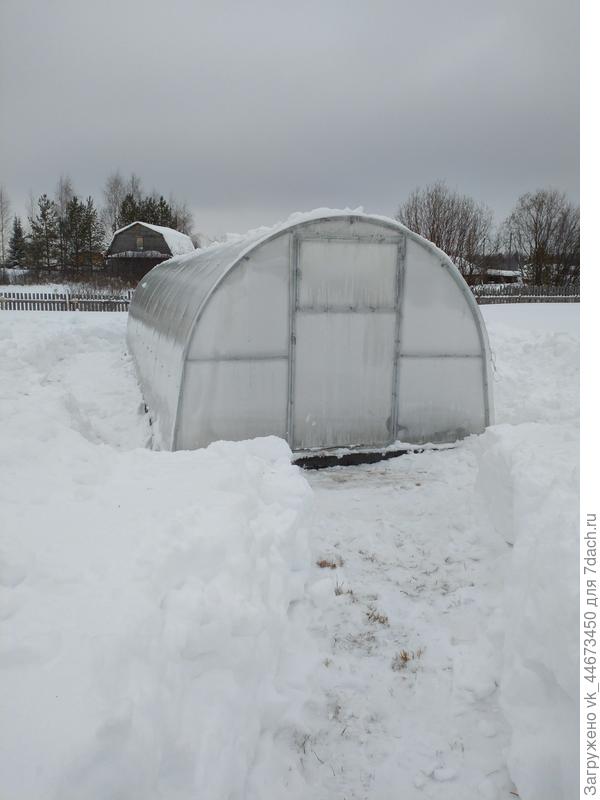 Откопали любимицу.