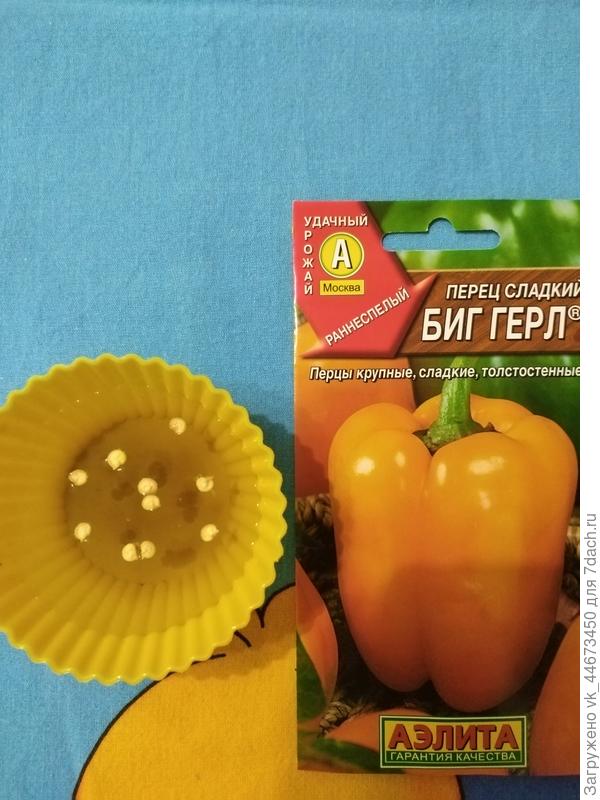Семена