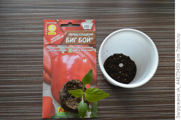 процесс