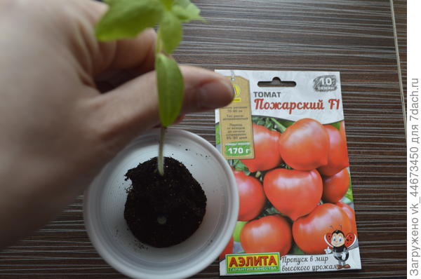 пересаживаем