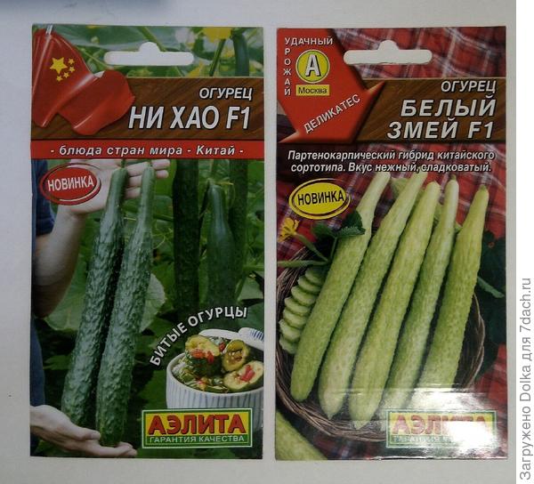 огу