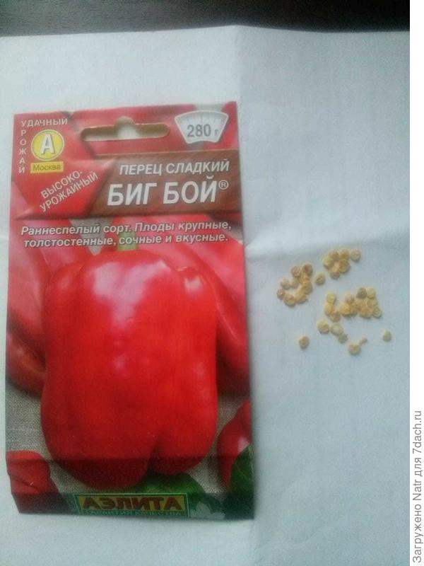 пакет