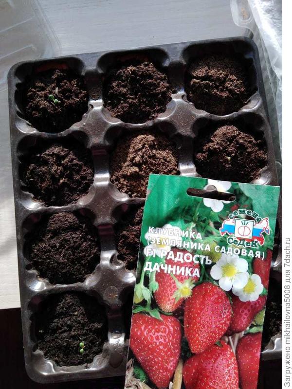 Радость дачник 3 штучки