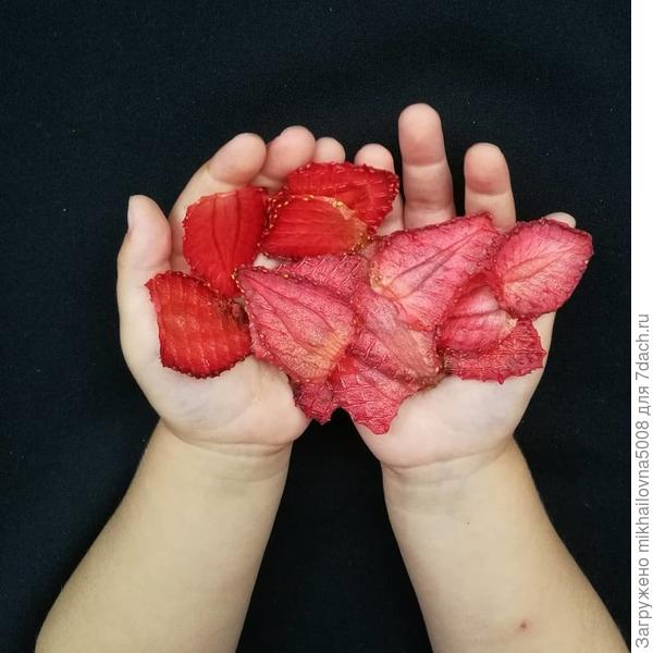 Это вам на счастье :) от моей внучки Елизаветы (дочь мой дочери Юлии) :)