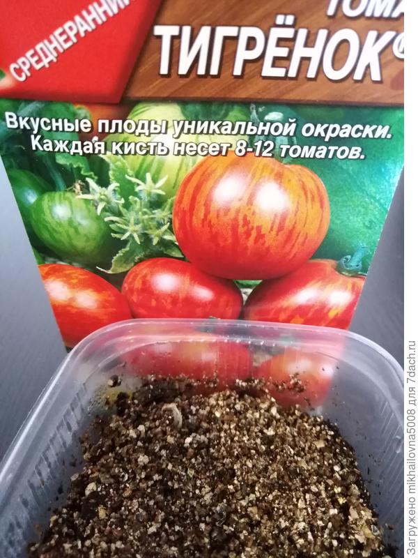 17.03.2019