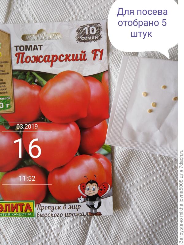 Для тестирования отобрано 5 штук