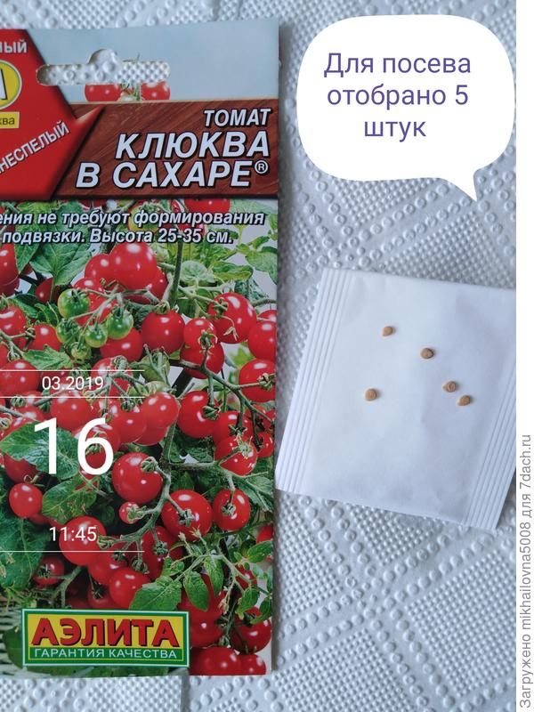 Отобрано 5 штук